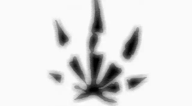 趁熱點(diǎn)過了，聊一聊宋冬野