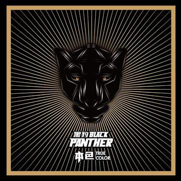 黑豹樂(lè)隊(duì)三十年：從未解散也再未輝煌